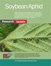 soybean aphid update 2011