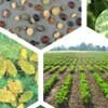 Checkoff database